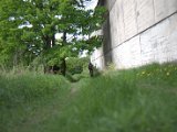 IMG_8867.CR2
