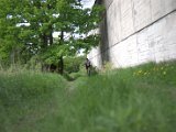 IMG_8868.CR2