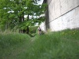 IMG_8869.CR2