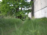 IMG_8882.CR2