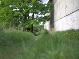 IMG_8883.CR2