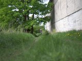 IMG_8885.CR2