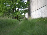 IMG_8886.CR2
