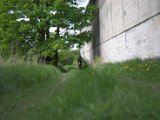 IMG_8887.CR2