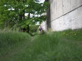 IMG_8889.CR2
