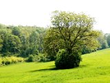 Hautzendorf 036.jpg