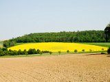 Hautzendorf 037.jpg