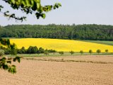 Hautzendorf 038.jpg