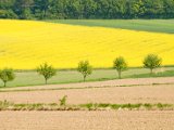 Hautzendorf 040.jpg