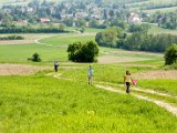 Hautzendorf 118.jpg