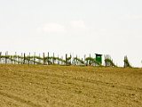 Hautzendorf 127.jpg
