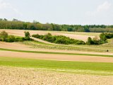 Hautzendorf 138.jpg