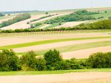 Hautzendorf 139.jpg