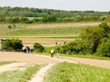 Hautzendorf 147.jpg