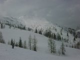 IMG00037-20090403-1052.jpg