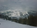 IMG00038-20090403-1053.jpg