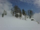 IMG00058-20090404-1025.jpg