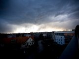 IMG_5356.jpg