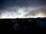 IMG_5364.jpg