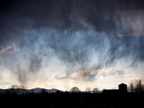 IMG_5365.jpg