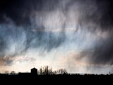 IMG_5367.jpg