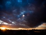 IMG_5391.jpg