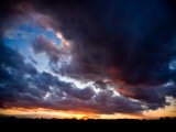 IMG_5398.jpg