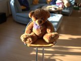 IMG_5827.CR2