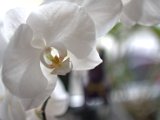 IMG_5841.CR2