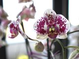 IMG_5844.CR2
