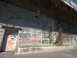 IMG_7014.CR2