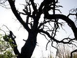 IMG_8173.jpg