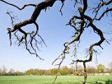 IMG_8186.jpg