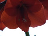 IMG_8839.CR2