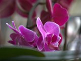 IMG_8842.CR2