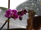 IMG_8843.CR2