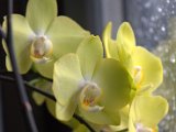 IMG_8844.CR2