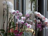 IMG_8845.CR2