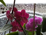 IMG_8847.CR2