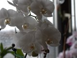 IMG_8849.CR2