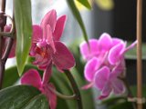 IMG_8866.CR2