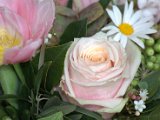 IMG_8867.CR2