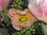 IMG_8869.CR2