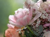 IMG_8871.CR2