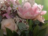 IMG_8873.CR2