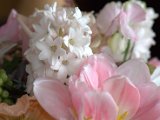IMG_8875.CR2