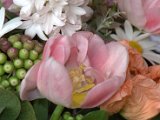 IMG_8878.CR2