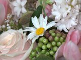 IMG_8879.CR2