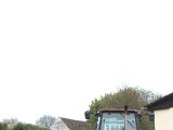 IMG_8733.CR2