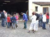 IMG_8739.CR2